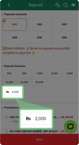 A screenshot from the Naseebet deposit page displaying various payment channels, deposit amounts including ₹2,000, and promotional bonus options.